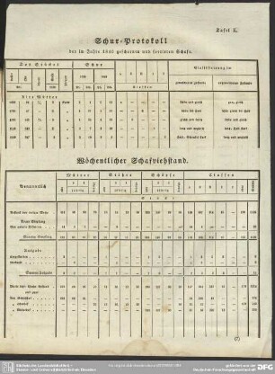 Tafel K. Schur-Protokoll der im Jahre 1840 geschornen und sortirten Schafe / Wöchentlicher Schafviehstand