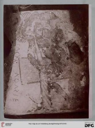 6975 Tomba dell'Orco Ulisse e Polifemono - Corneto Tarquinia