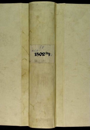 Ratsprotokolle, 1802 7. Jan. - 22. Juli