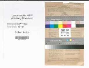 Entnazifizierung Anton Eicher , geb. 01.02.1903 ()