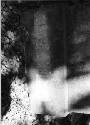 Grabstein 49 (Index: 100086695) Material: Sandstein Zustand: verwittert Maße HxBxT: 100x47x20 cm Beschreibung: Stele, Sockel, Giebel: Grabstein 49C