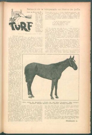 Turf - Balance de la temporada en Nueve de Julio