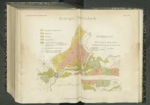 Tafel XXIV. Rittergut Dittersbach. Schlägekarte
