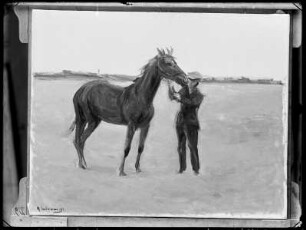 Pferd auf der Weide mit Reitknecht
