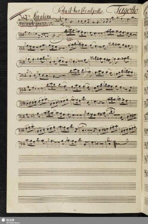 380. Cavatina: Serba il tuo cor nel petto / Salieri, A.