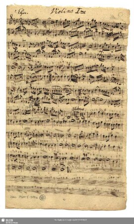 Violino Imo