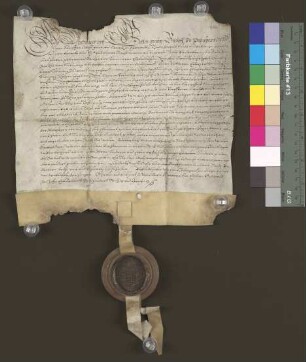 1662 Okt. 11. Lehnsbrief des Bischofs zu Paderborn für die Kleinsorgen (Geneal.) über den Moßhagen bei Hovedissen.