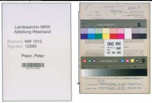 Entnazifizierung Peter Pistor , geb. 12.04.1909 (Angest.)