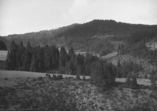 Bei Cuajimalpa de Morelos : Berglandschaft
