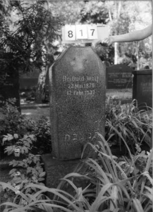 Grabstein 817
