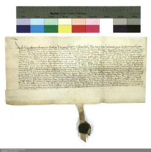 Revers Friedrichs von Obernitz zu Tausa bezüglich der Belehnung mit Gütern in Breitensee und in Milz durch Wolfgang [Dietrich von Eusigheim], Abt von Fulda