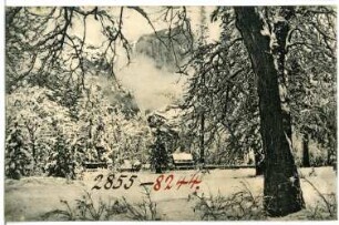 Yosemite. Winter in Yosemite, Cal.