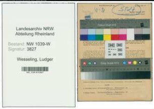 Entnazifizierung Ludger Wesseling , geb. 09.04.1900 (Kaufmann)