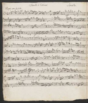 Flauto / Violino