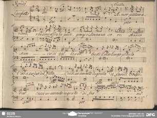 Rondo: "Amor pietoso amore" in G-Dur