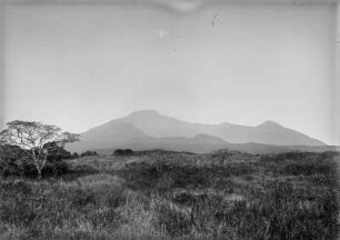 Krater des Mount Meru : Landschaft und Vegetation in der Nähe des Kraters des Mount Meru