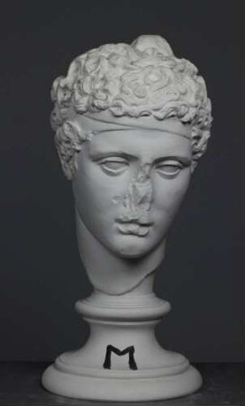 Kopfreplik der Amazone Typus Mattei