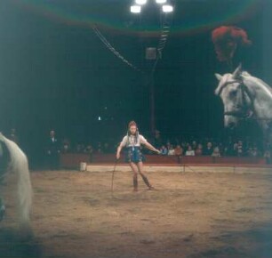 Zirkus Krone. Vorführung einer Dressur mit Pferden