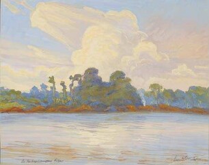 An der brasilianischen Küste