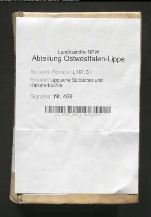 Salbuch der Stadt Barntrup von 1781 (Duplikat)
