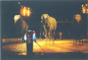 Circus Berolina, Magdeburg - Berlin, 1973-2004