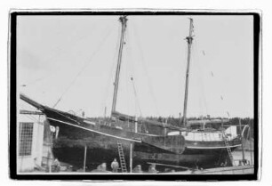 Agathe (1911), Feldmann, Hamburg
