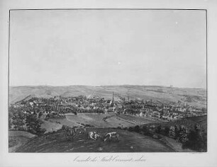 Crimmitzschau : Stadtansicht von Crimmitschau (früher: Crimmitzschau)