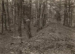 Limes westlich der Saalburg. Teil des limes germanicus. (Erdwall mit vorliegendem Graben, davor die Palisadenwand zur Abwehr der Reiterei)