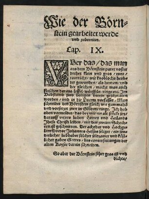 Wie der Börnstein gearbeitet werde und zubereitet. Cap. IX.