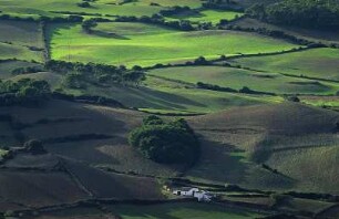 Spanien. Menorca. Mont El Torro. Finca und gruene Felder im Abendlicht