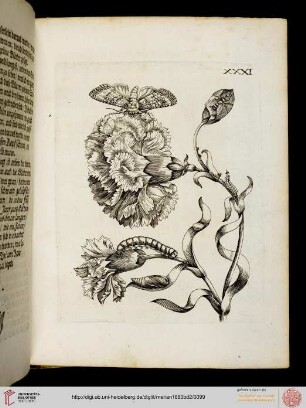 Tafeln und Text 31-40