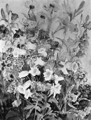 Blühender Fingerhut : Blühender Fingerhut. Gemälde (vor 1946; C. Vollmer)