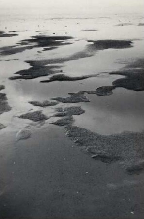 Landschaft im Wattenmeer