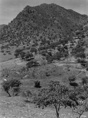 Hügellandschaft : Hügelige Savannenlandschaft in Eritrea