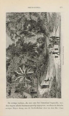 Nieuw-Guineesch landschap