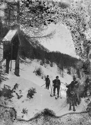 Begegnung vor Mittenwald : Mittenwald. Skiläufer im Wald