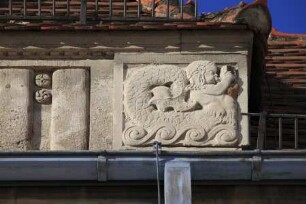 Kindlicher Tritone