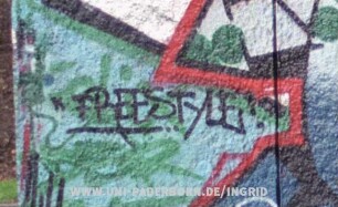 "FREESTYLE!