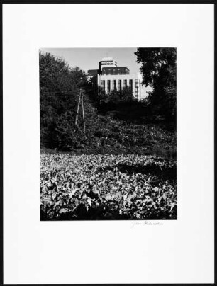 Foto, Neuss