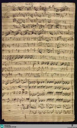 Sonata grossa - Mus. Hs. 473 : strings, woodwinds, cemb; b; BrinzingMWV 4.15