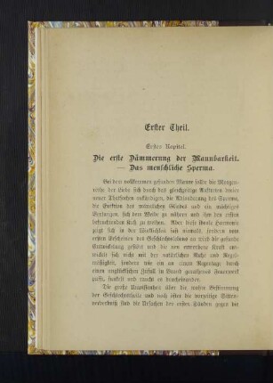 ErstesKapitel. Die erste Dämmerung der Mannbarkeit. - Das menschliche Sperma.