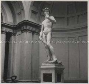 Florenz, Accademia delle Arti del Disegno (Galleria dellAccademia), Michelangelos David