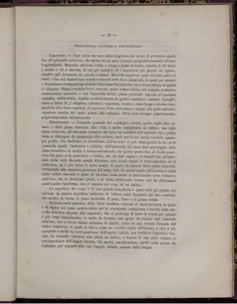 Drescrizione zoologica dell' animale.