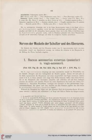 Nerven der Muskeln der Schulter und des Oberarms