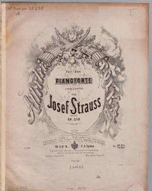 Allerlei-Polka : schnell ; für d. Pianoforte ; op. 219