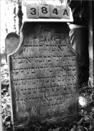 Grabstein 384 (Index: 100115712) Material: Sandstein Zustand: verwittert Maße HxBxT: 100x54x10 cm Beschreibung: Stele mit konkav eingezogenem Rundbogenabschluß Symbolik: Blüte: Grabstein 384A (Nachholaufnahme)