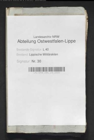 Offiziersstellen der Landmiliz