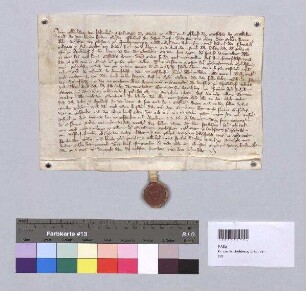 Eberhart von Hohenberg, Domscholaster ("schulmaister dez tums") zu Bamberg, urteilt in der Differenz zwischen Walther, Abt des Klosters Michelsberg zu Bamberg, und Hainrich Baunacher ("Paunacher") zu Scheinfeld ("Scheinvelt") wegen eines Waldes zu Appelsdorf ("Appelndorf an der Leiten" [abgg. bei Scheinfeld]) zugunsten des Klosters nach Vermittlung durch Konrad von Egloffstein ("Chunrat von Egelolfstein"), Vogt zu Höchstadt ("Hochstet"). Zeugen: Konrad ("Chunrad") von Giech zu Burgellern ("Elern"), Ritter, Konrad von Egloffstein, Ritter, als Vogt zu Höchstadt, Konrad von Wolfersdorf ("Wolfferstorf"), Ritter, Konrad Cratz, Hartwich von Parys, Hans von Dachsbach ("Dachspach"), Vogt zu Scheinfeld, Braunbart Wernher, Bürger zu Bamberg, Herman Zollner ("Zolner"), Bürger zu Bamberg, und Friedrich Tetzel ("Detzlein"), Bürger zu Nürnberg. - S = A