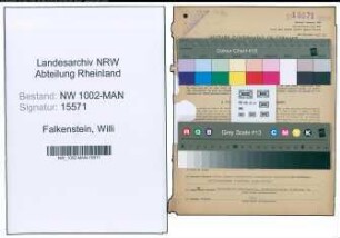 Entnazifizierung Willi Falkenstein , geb. 21.11.1919 (Verw.Angestellter)