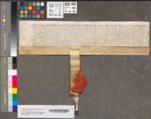 Bevestiging van de making van Walraven, Heer te Brederode, van zes leenen aan zijn broer Hans Wolfert van Brederode, Heer van Kloetingen, door den Kantzeler en Stadholder der leenen en Mannen van leen van Gelder en Zutfen, 8 September 1618. Perkament met een stuk van een uithangend zegel.